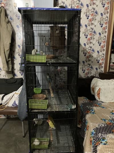 Cage for love birds 3 portions