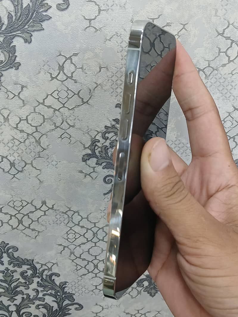 Apple iPhone 13 Pro Max 1