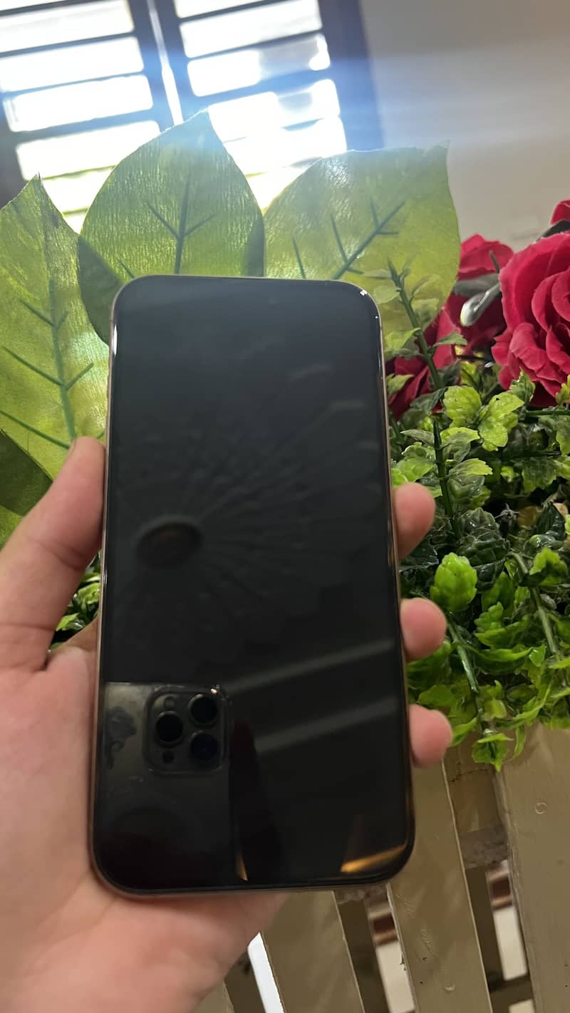 Apple iPhone 16 Pro Max 1