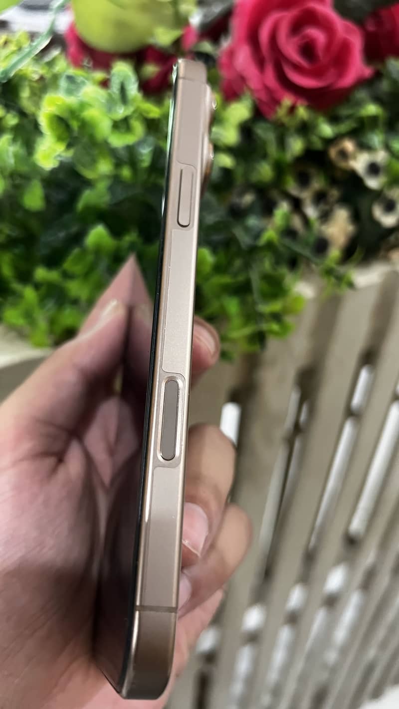 Apple iPhone 16 Pro Max 2