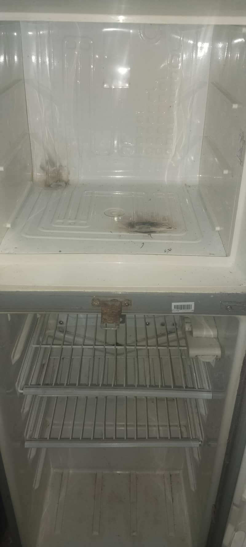 fridge 2