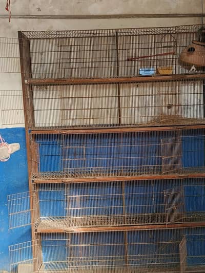 cage 10 khana