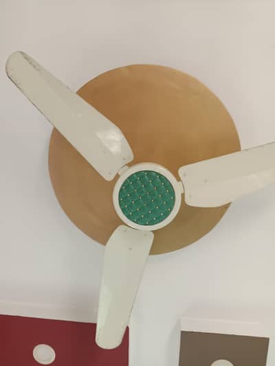 Fresh fan