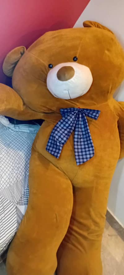 BIG TADDY BEAR 6.5 FEET