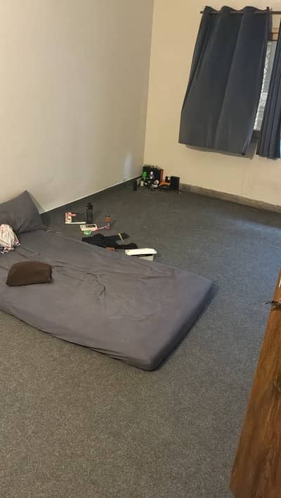 Carpet for Sell