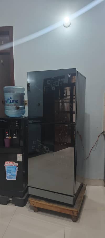 Pel 8 Cubic Glass Door Refrigerator.