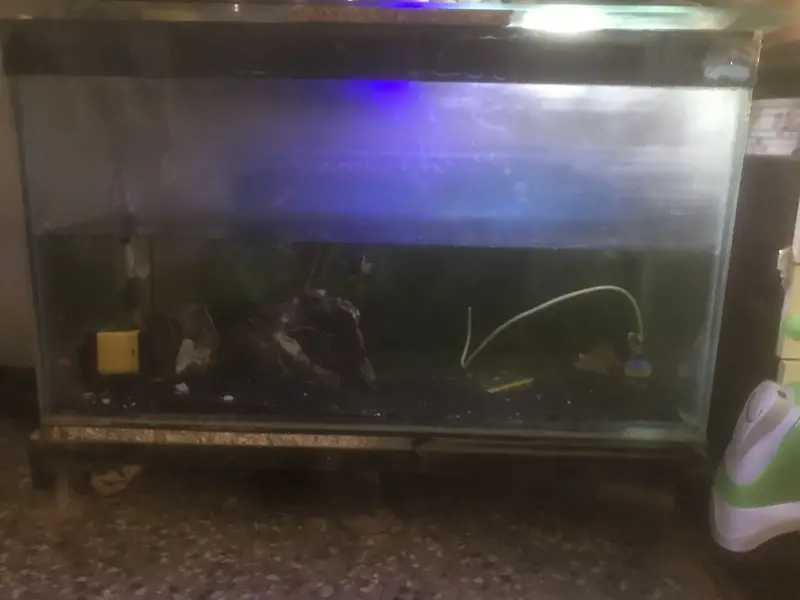 Aqurium/ sand / fish for sale — photo 2
