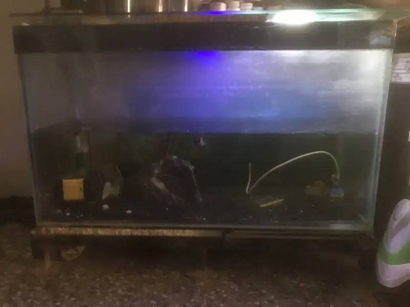 Aqurium/ sand / fish for sale — photo 3