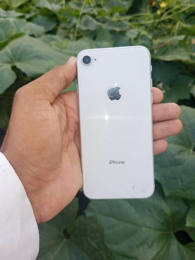 Apple iPhone 8