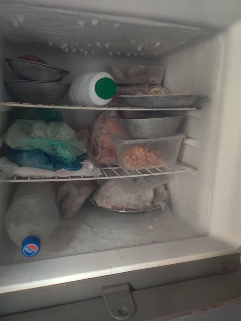 freeze 2