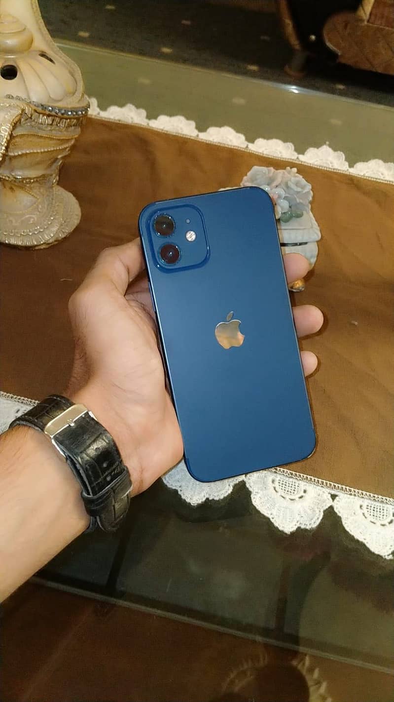 Apple iPhone 12 1