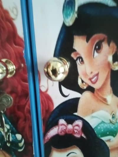 Princess wardrobe for girls