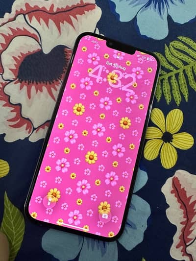 Apple iPhone 13 Pro Max