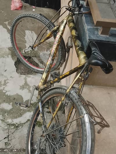 gear cycle
