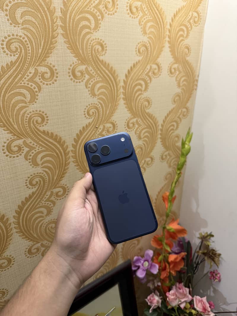 17 pro max 1
