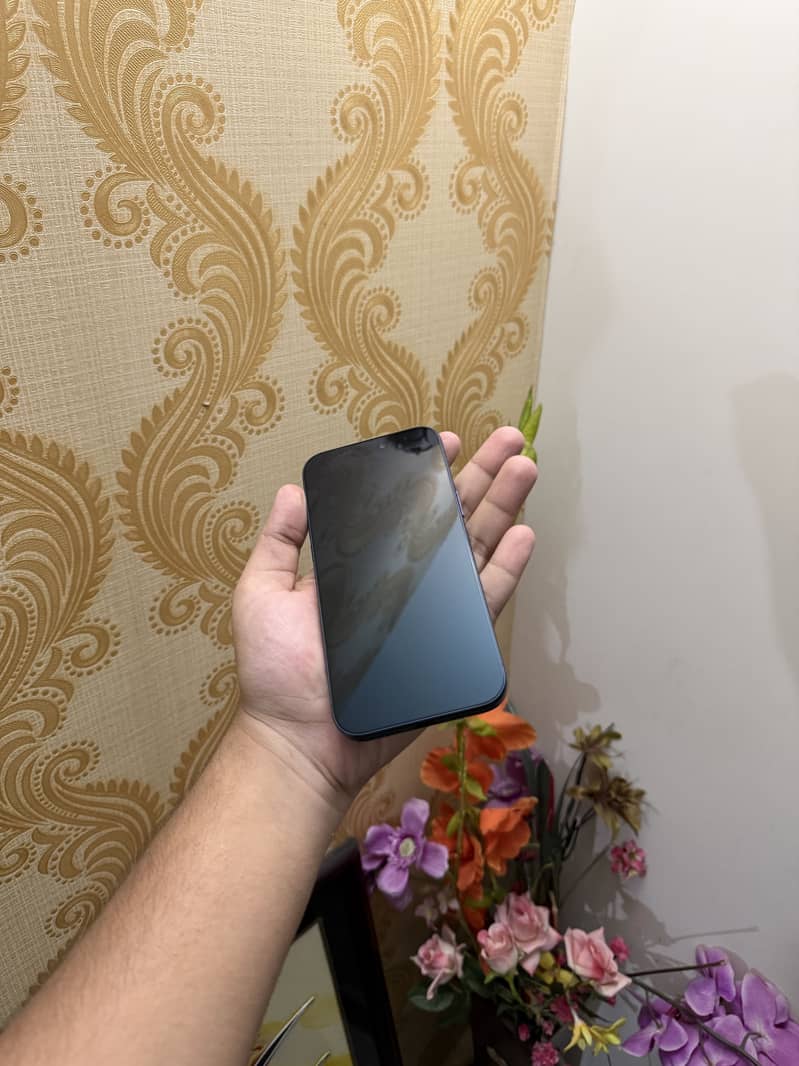 17 pro max 5