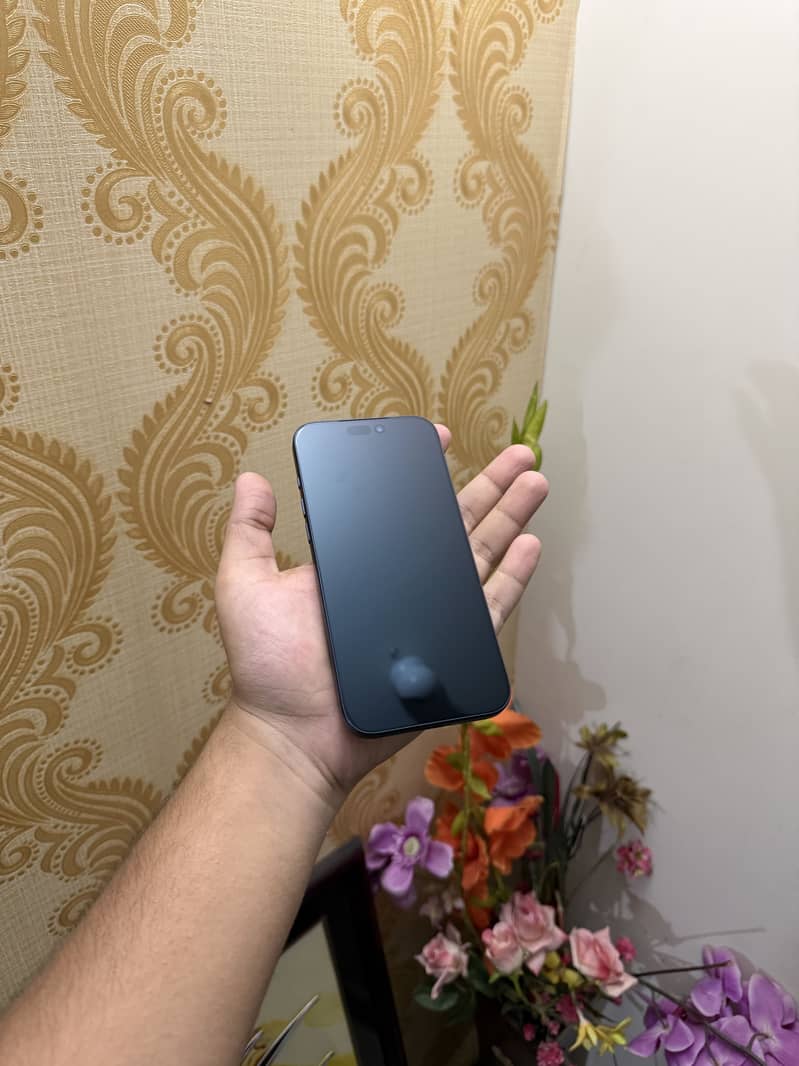 17 pro max 6