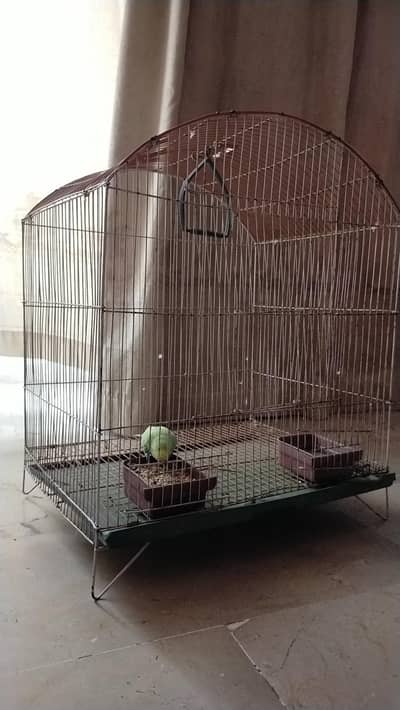 two cages for sale