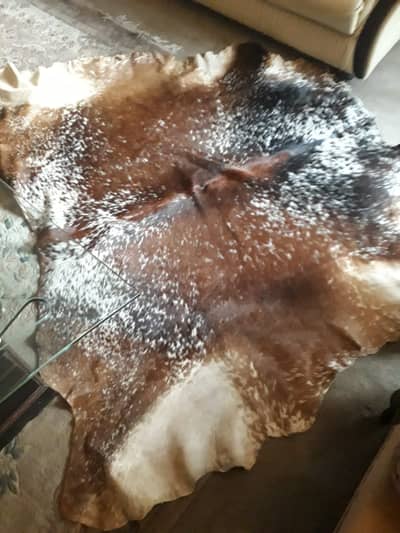 REAL COW HIDE LEATHER (FULL)