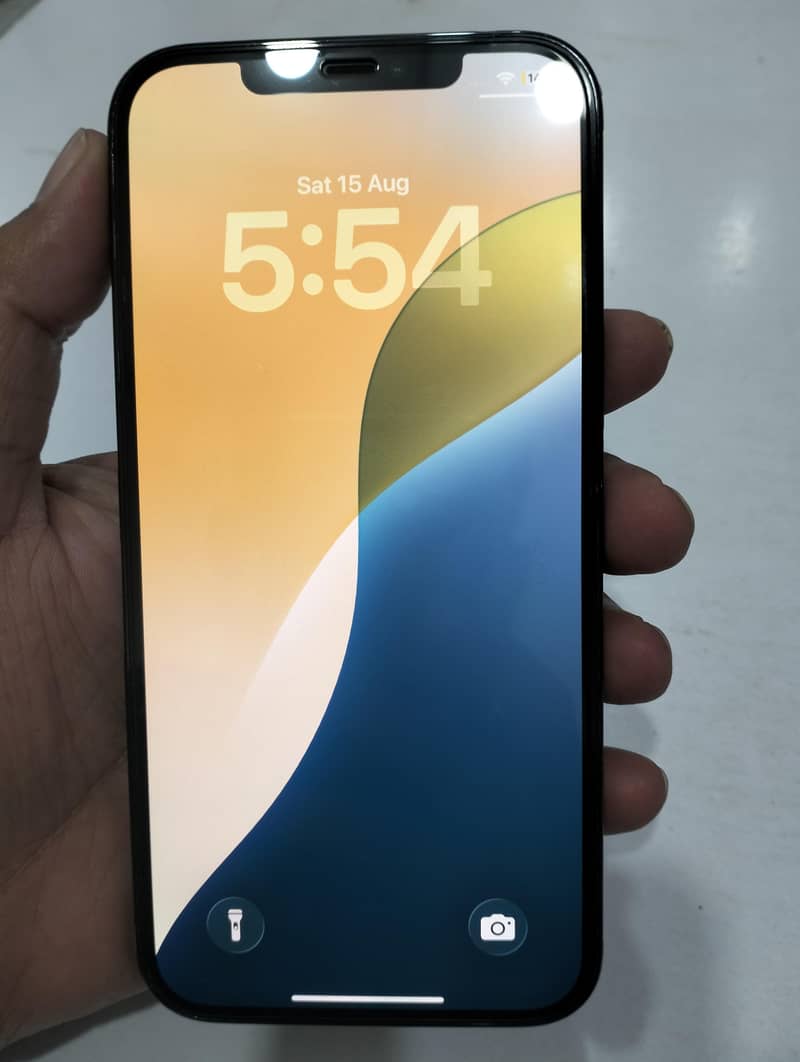 Apple iPhone 12 Pro Max 1