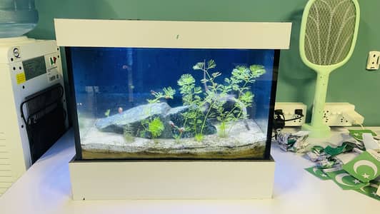 Planted nano tank for sale