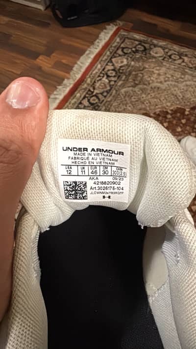 Under Armour Charged Assert for Men Size US 12