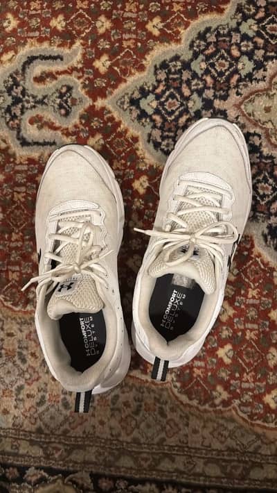 Under Armour Charged Assert for Men Size US 12