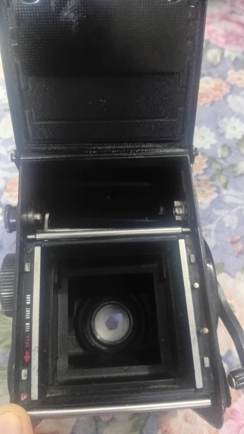 bestoffer 6