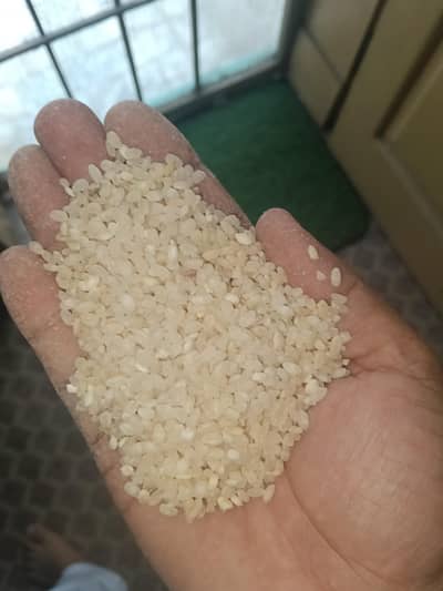 Kurram Chawal (kurmiwal Chawal) available in Peshawar