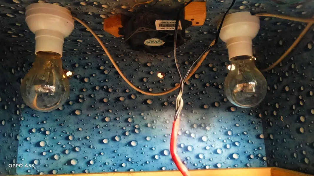 brand new condition bruder for eggs hatchery — photo 2