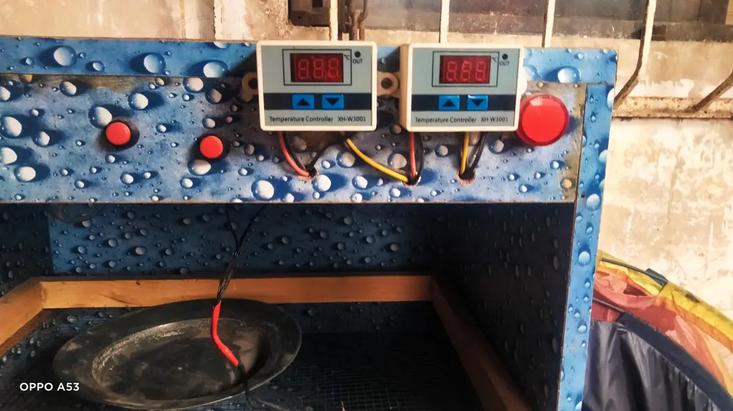 brand new condition bruder for eggs hatchery — photo 3
