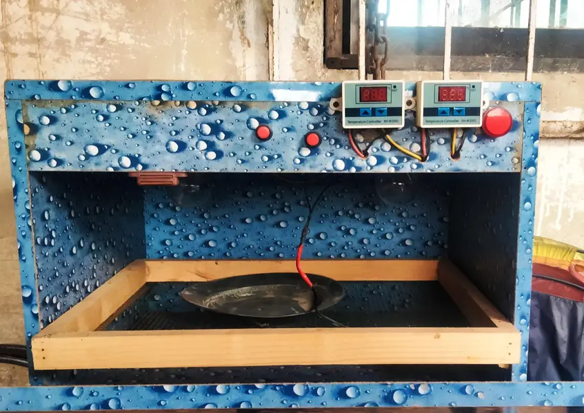 brand new condition bruder for eggs hatchery — photo 4