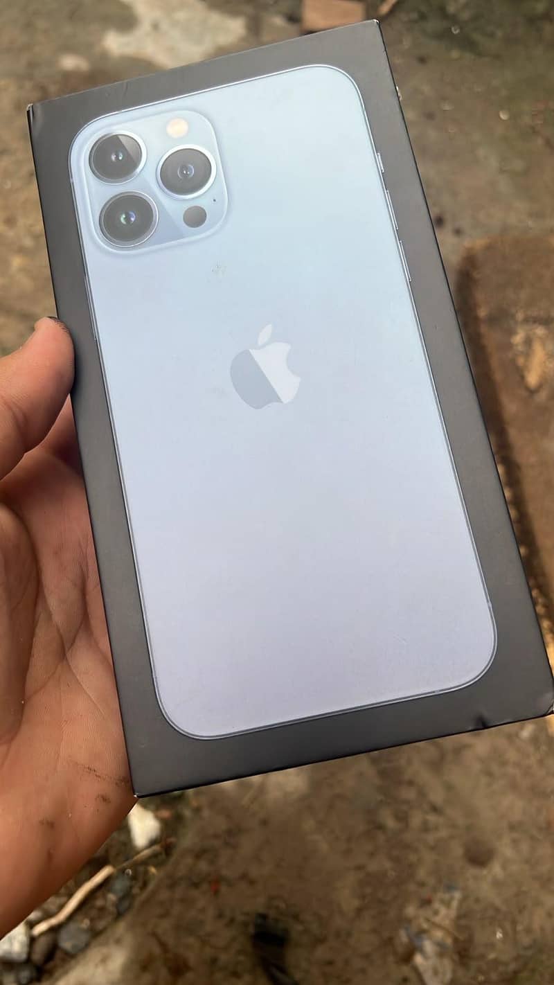 Apple iPhone 13 Pro Max 1