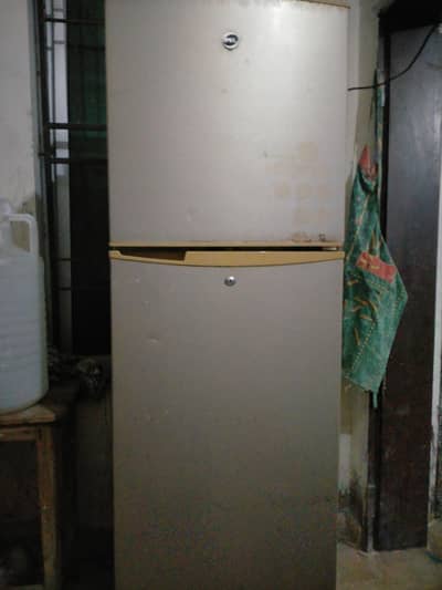 Pel Medium size