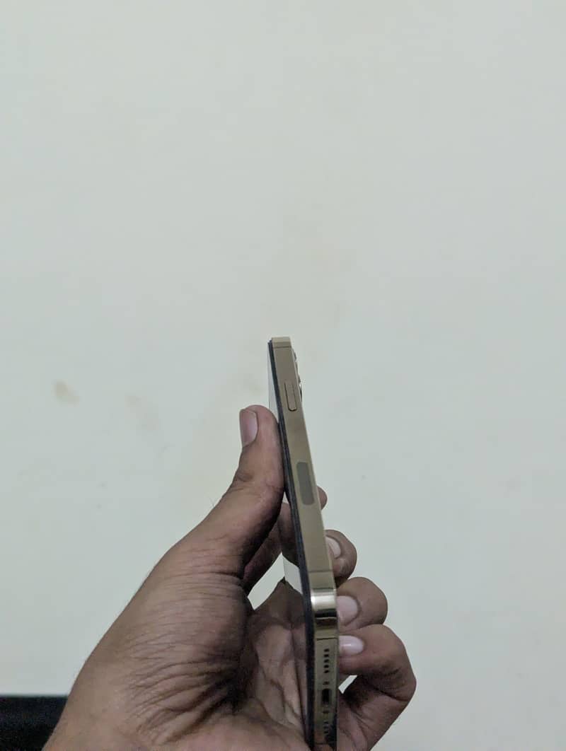 Apple iPhone 12 Pro 4