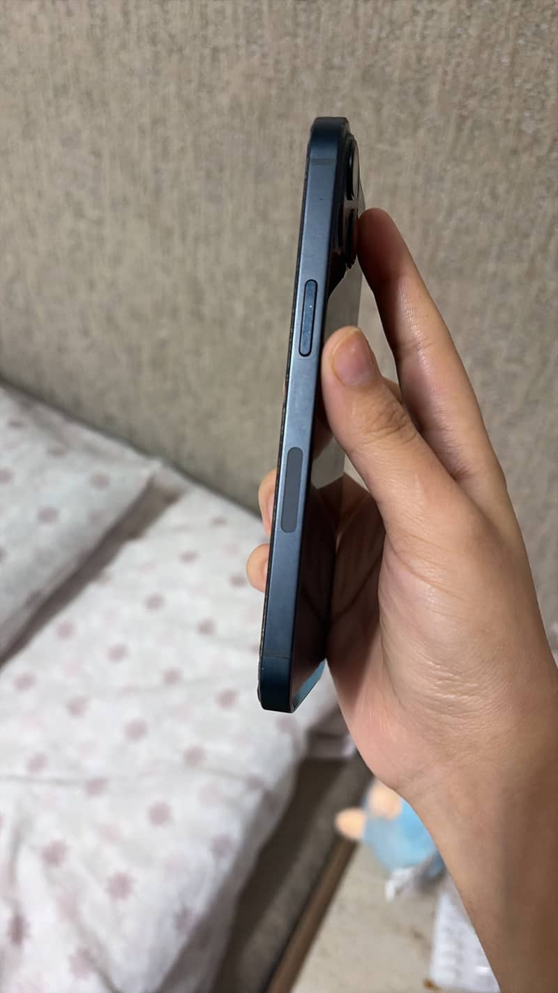 Apple iPhone 13 0