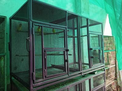 hens and parrot cage for sale