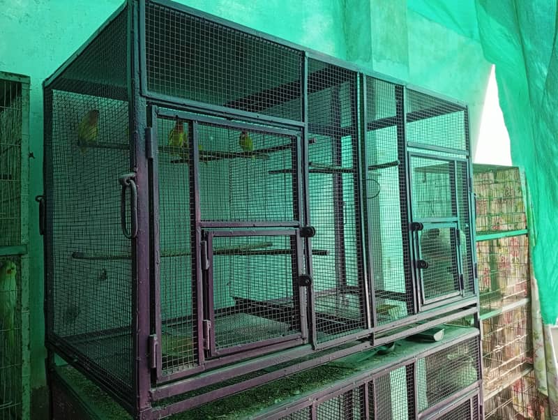 portion and master cage 0