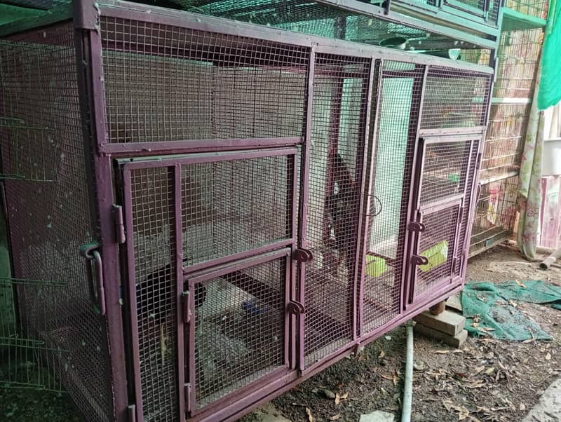 portion and master cage 1