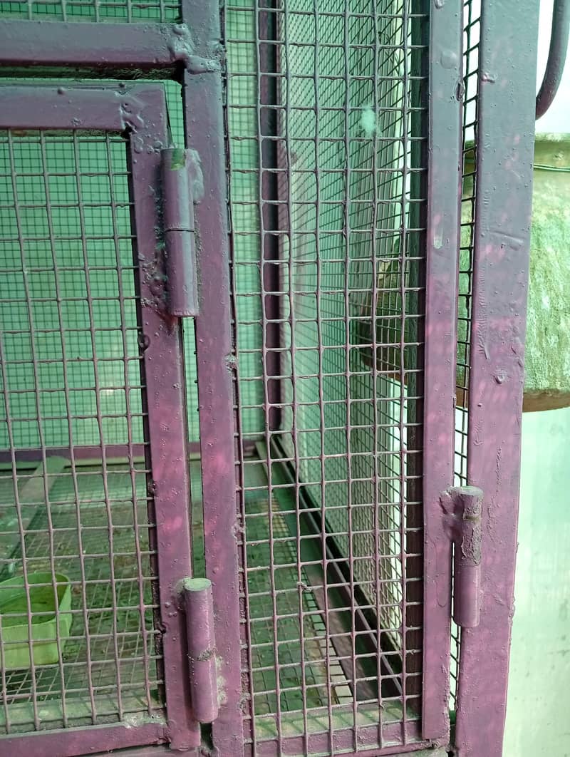 portion and master cage 12
