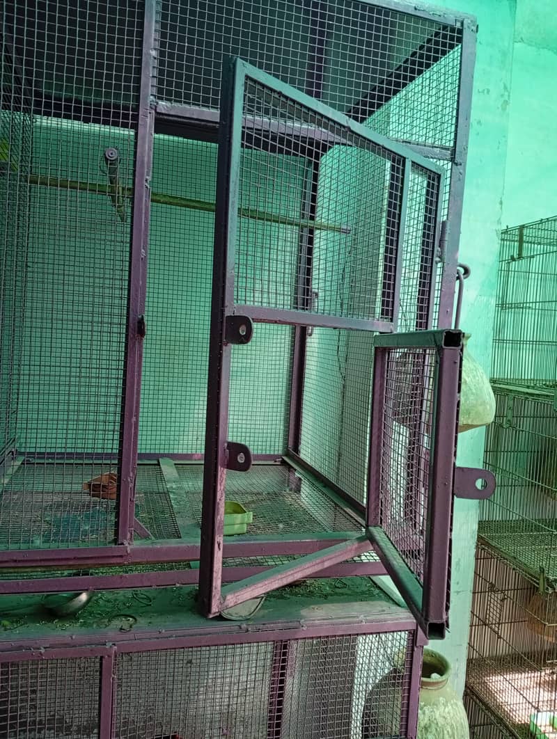 portion and master cage 13