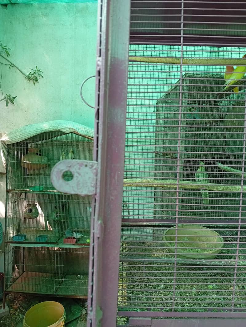 portion and master cage 15