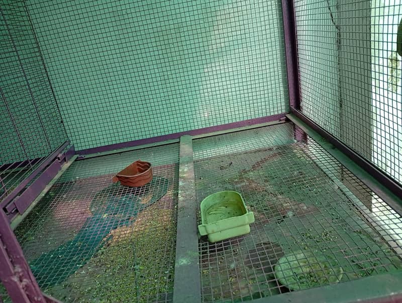 portion and master cage 16