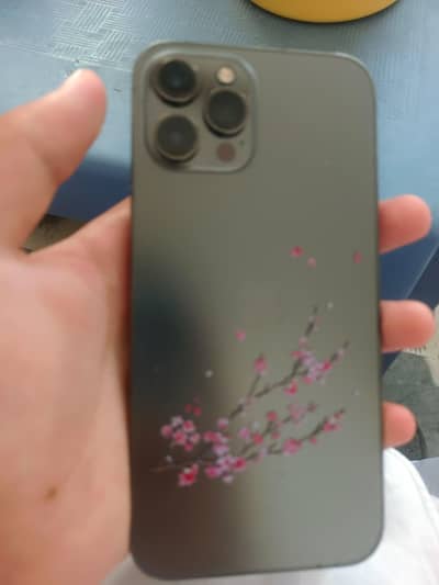 Apple iPhone 12 Pro Max