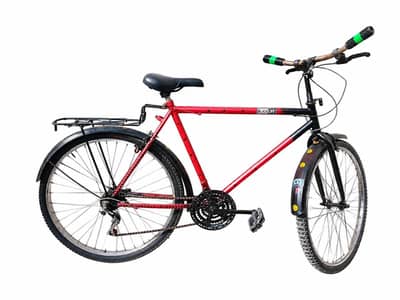 Gear bicycle