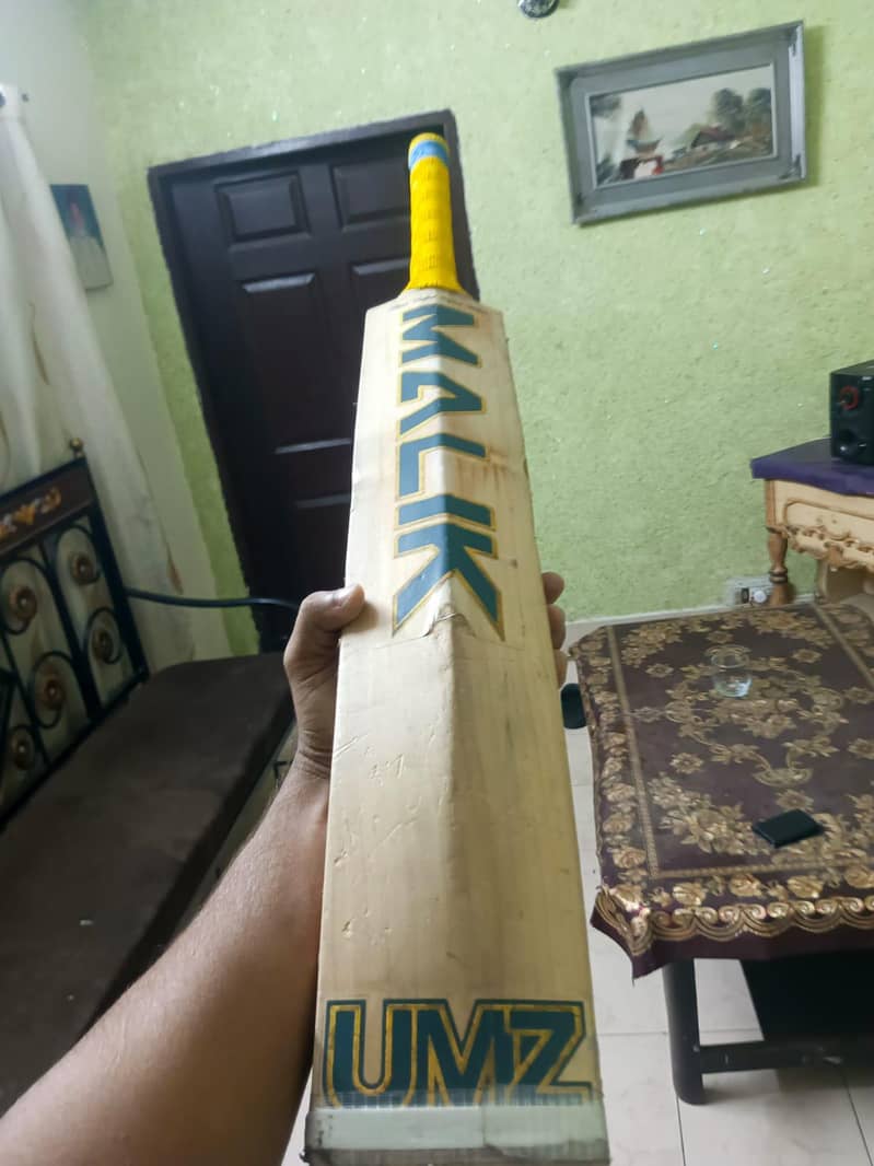 cricket bat 0