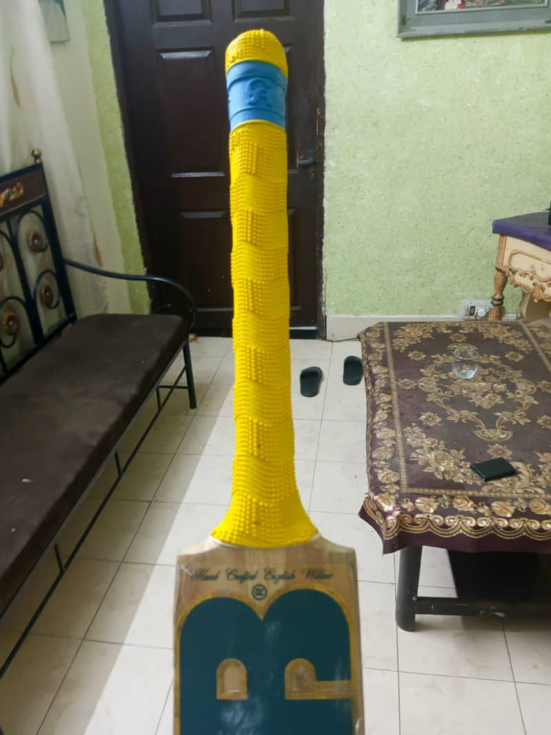cricket bat 1