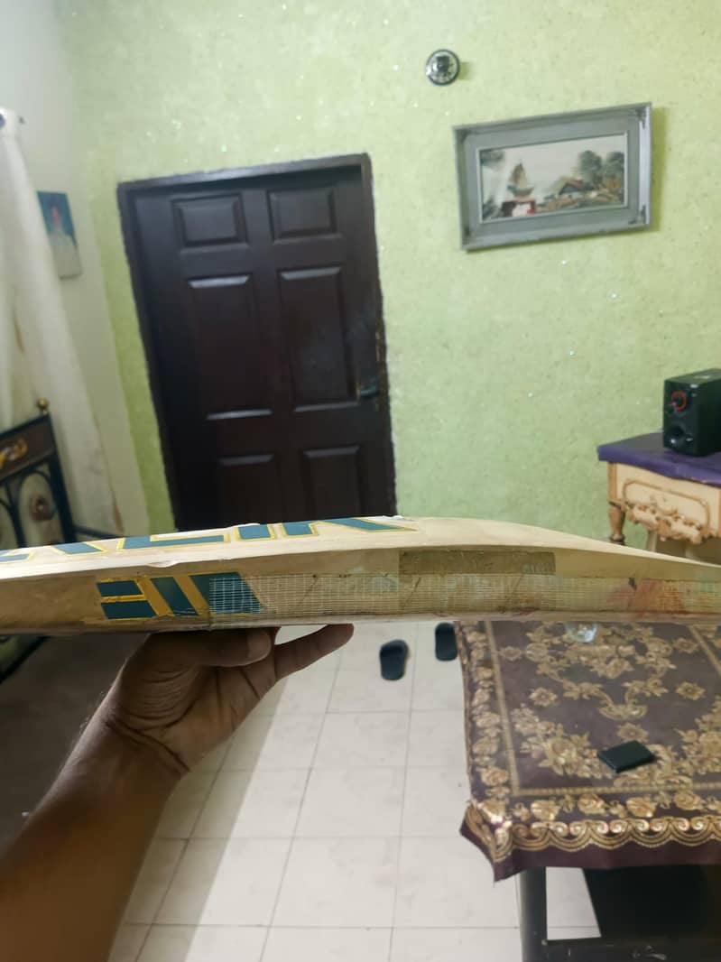 cricket bat 2