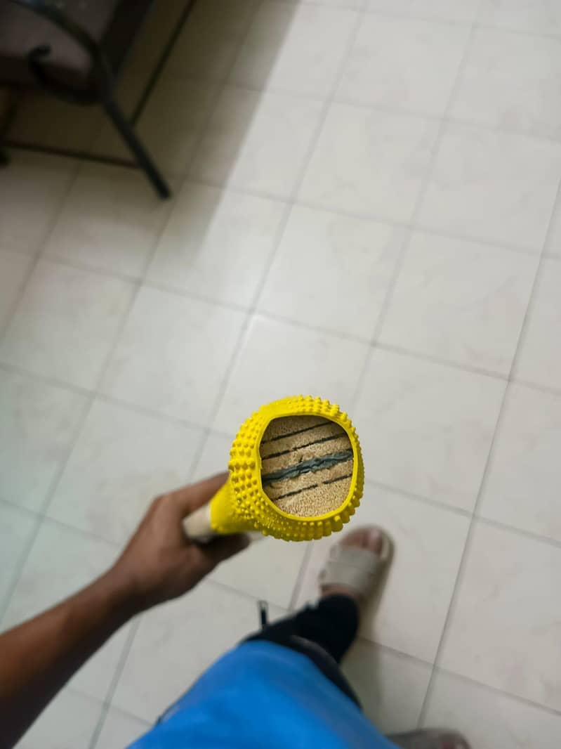 cricket bat 3