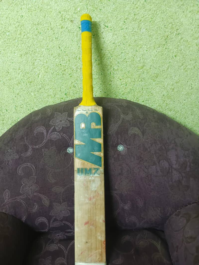 cricket bat 4